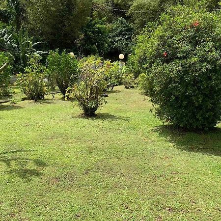 972B-Coin De Verdure Au Pied De La Montagne Pelee Le Morne-Rouge Zewnętrze zdjęcie