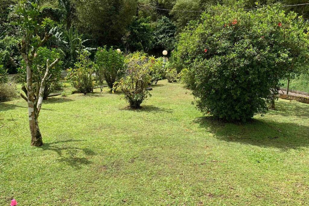 972B-Coin De Verdure Au Pied De La Montagne Pelee Le Morne-Rouge Zewnętrze zdjęcie